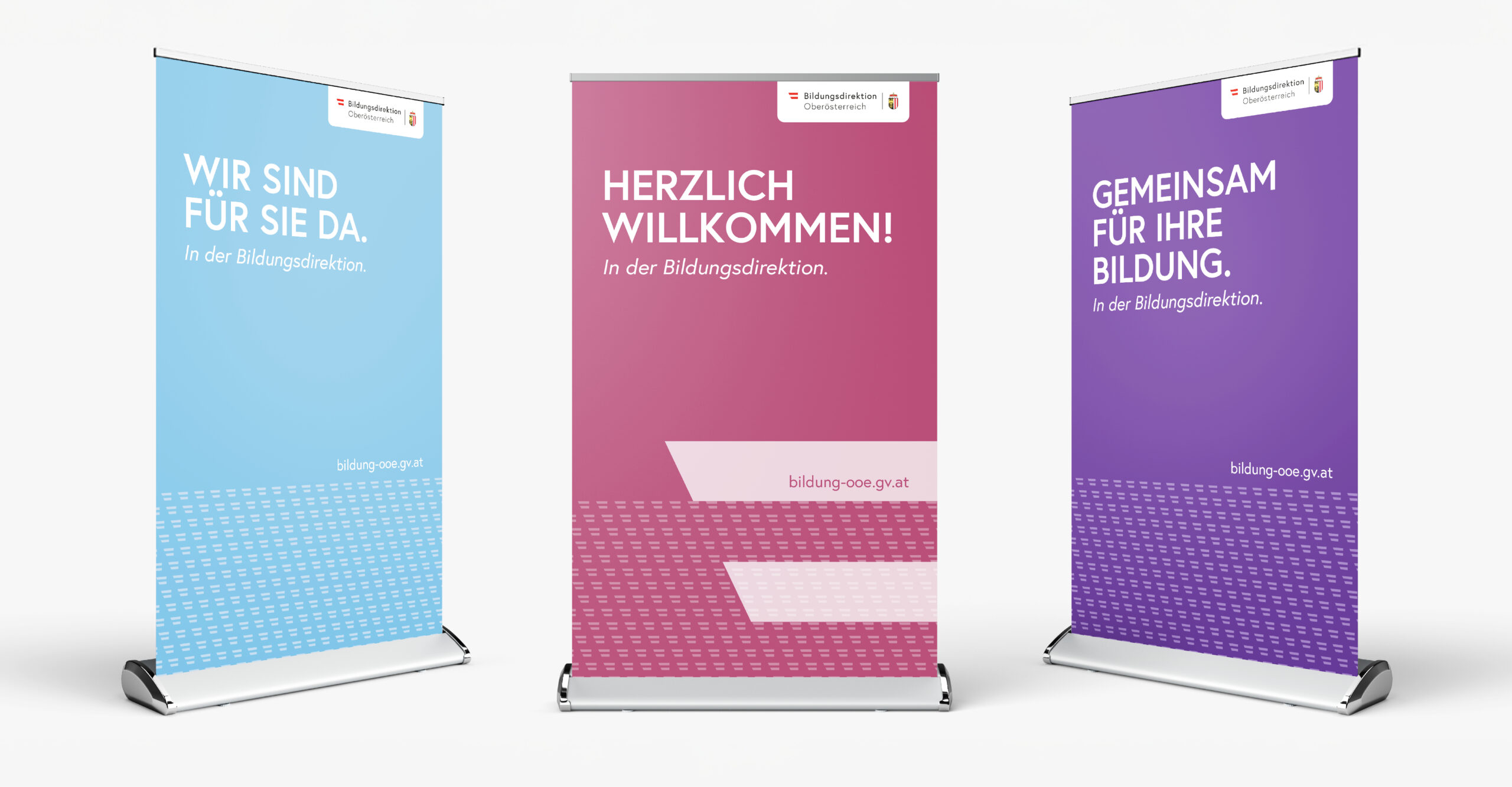 bildungsdirektion rollups