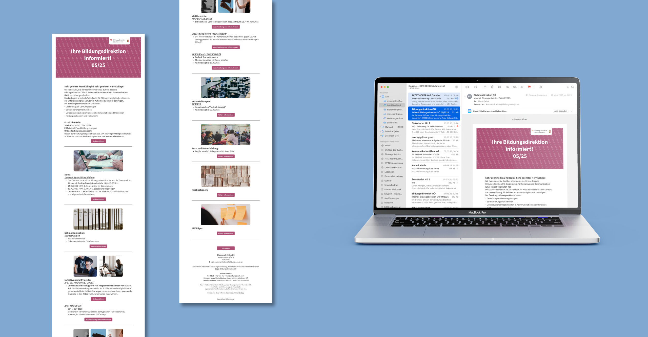 bildungsdirektion newsletter
